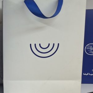 شاپینگ بگ برای بوتیک زنانه